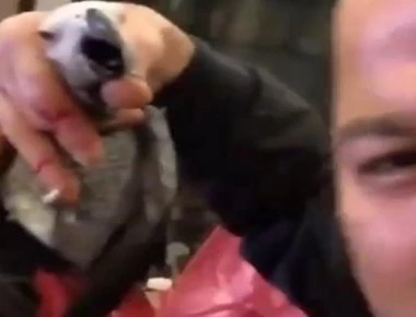 Τον έδιωξαν από το MasterChef και βασάνισε μέχρι θανάτου τον παπαγάλο του (βίντεο)